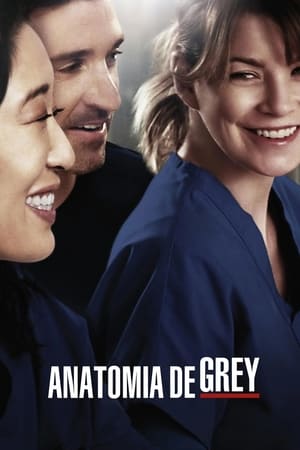Grey's Anatomy, Season 14 poster 0