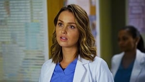 Grey's Anatomy, Season 13 - Falling Slowly image
