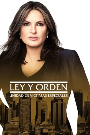 Law & Order: SVU (Special Victims Unit), Season 21 poster 1