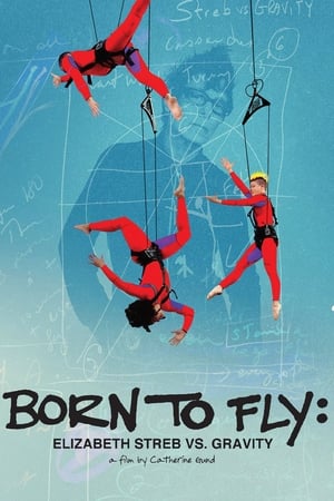 Born to Fly: Elizabeth Streb vs. Gravity poster 1