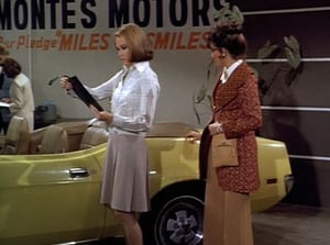 The Mary Tyler Moore Show, Season 3 - Mary Richards and the Incredible Plant Lady image