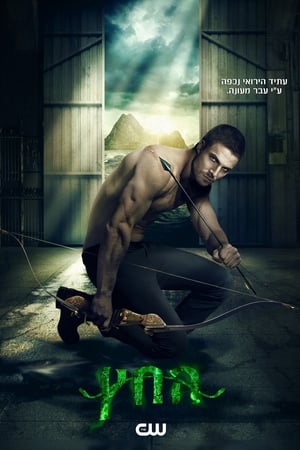 Arrow: The Complete Series poster 2