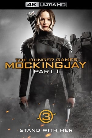 The Hunger Games: Mockingjay - Part 1 poster 4
