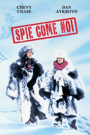 Spies Like Us poster 3
