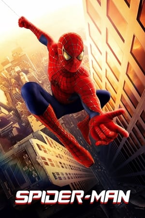 Spider-Man poster 3