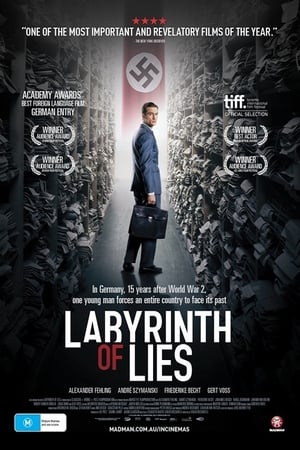 Labyrinth of Lies poster 4