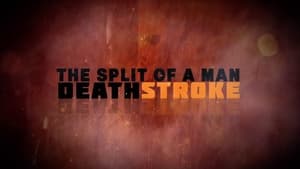 Arrow: The Complete Series - The Split of a Man: Deathstroke image