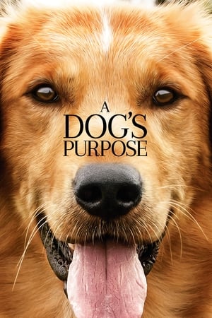 A Dog's Purpose poster 2