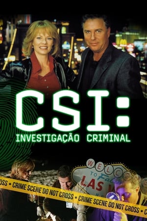 CSI: Crime Scene Investigation, Season 8 poster 3