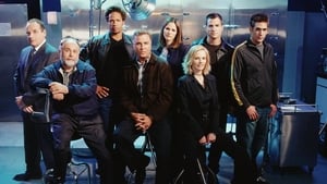 CSI: Crime Scene Investigation, Season 7 image 3