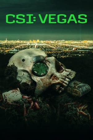 CSI: Vegas, Season 2 poster 3
