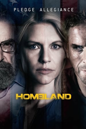 Homeland, Season 6 poster 1