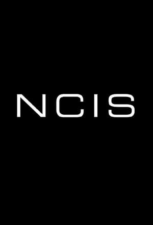 NCIS, Season 12 poster 1