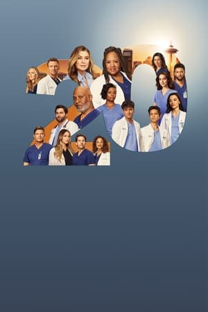Grey's Anatomy, Season 18 poster 2