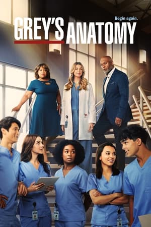Grey's Anatomy, Season 14 poster 2