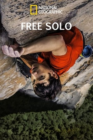Free Solo poster 1