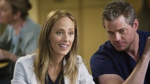 Grey's Anatomy, Season 6 - New History image