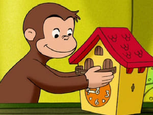 Curious George, Dog Counter / Squirrel for a Day image 0