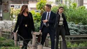 Law & Order: SVU (Special Victims Unit), Season 22 - Ballad of Dwight and Irena image