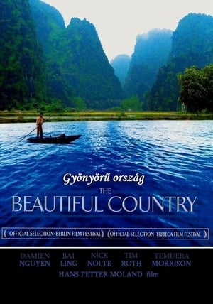 The Beautiful Country poster 3