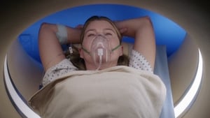 Grey's Anatomy, Season 17 - My Happy Ending image