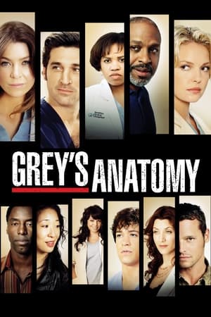 Grey's Anatomy, Season 15 poster 3