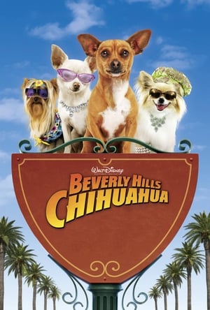 Beverly Hills Chihuahua poster 4