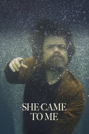 She Came To Me poster 4