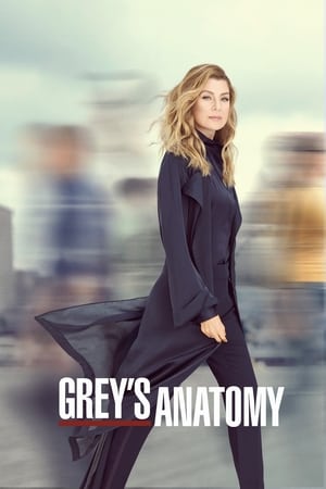 Grey's Anatomy, Season 12 poster 2