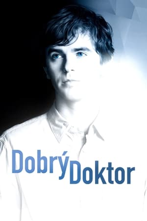 The Good Doctor, Season 5 poster 1