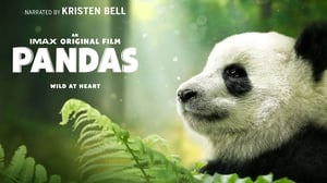 Pandas (2018) image 1