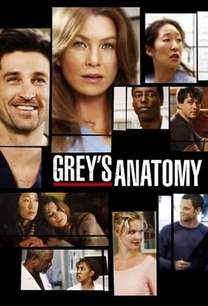 Grey's Anatomy, Season 2 poster 1