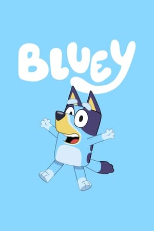 Bluey, Magic Xylophone and Other Stories poster 1
