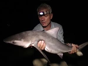 River Monsters, Season 1 - Freshwater Shark image