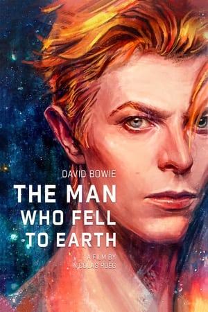 The Man Who Fell to Earth (1976) poster 4