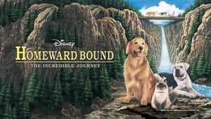 Homeward Bound: The Incredible Journey image 2