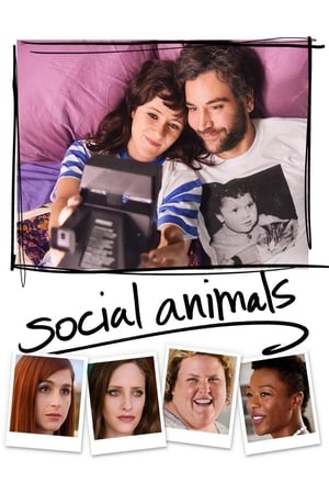 Social Animals poster 4