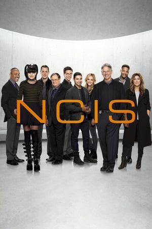 NCIS, Season 15 poster 0