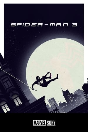 Spider-Man 3 poster 3
