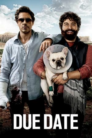 Due Date poster 3