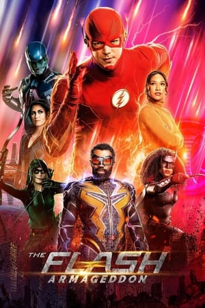 The Flash, Season 8 poster 3