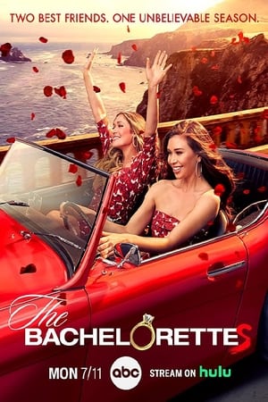 The Bachelorette, Season 20 poster 0