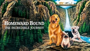 Homeward Bound: The Incredible Journey image 3