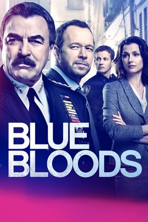 Blue Bloods, Season 1 poster 3