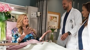 Grey's Anatomy, Season 14 - Caught Somewhere in Time image