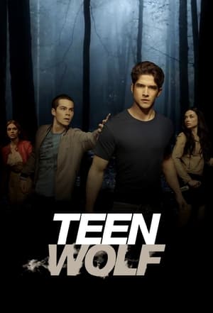 Teen Wolf, Season 2 poster 0