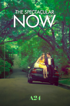 The Spectacular Now poster 1