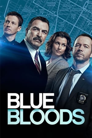 Blue Bloods, Season 12 poster 2