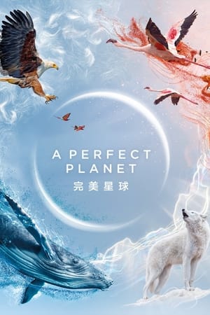A Perfect Planet poster 3