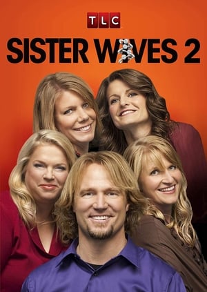 Sister Wives, Season 8 poster 3